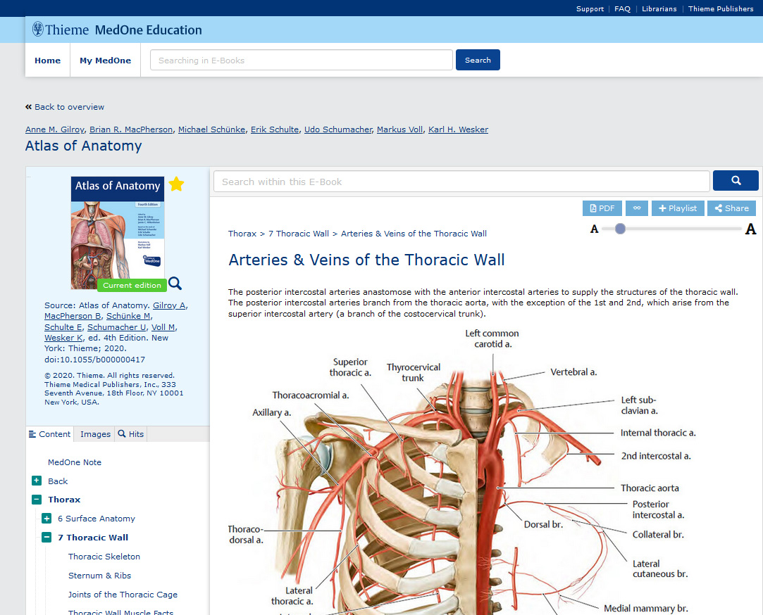 MedOne - Thieme Atlas of Anatomy