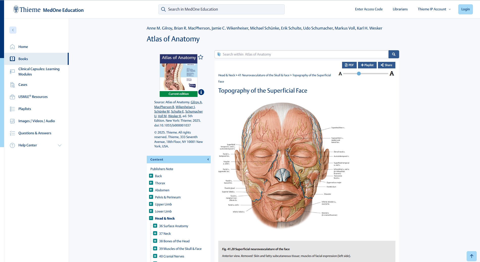 2025-05-21 11_11_47-Topography Superficial Face - MedOne Education