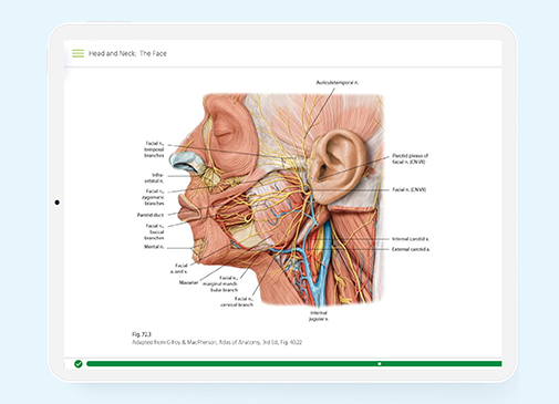 Thieme MedOne Education Screenshot Clinical Capsules