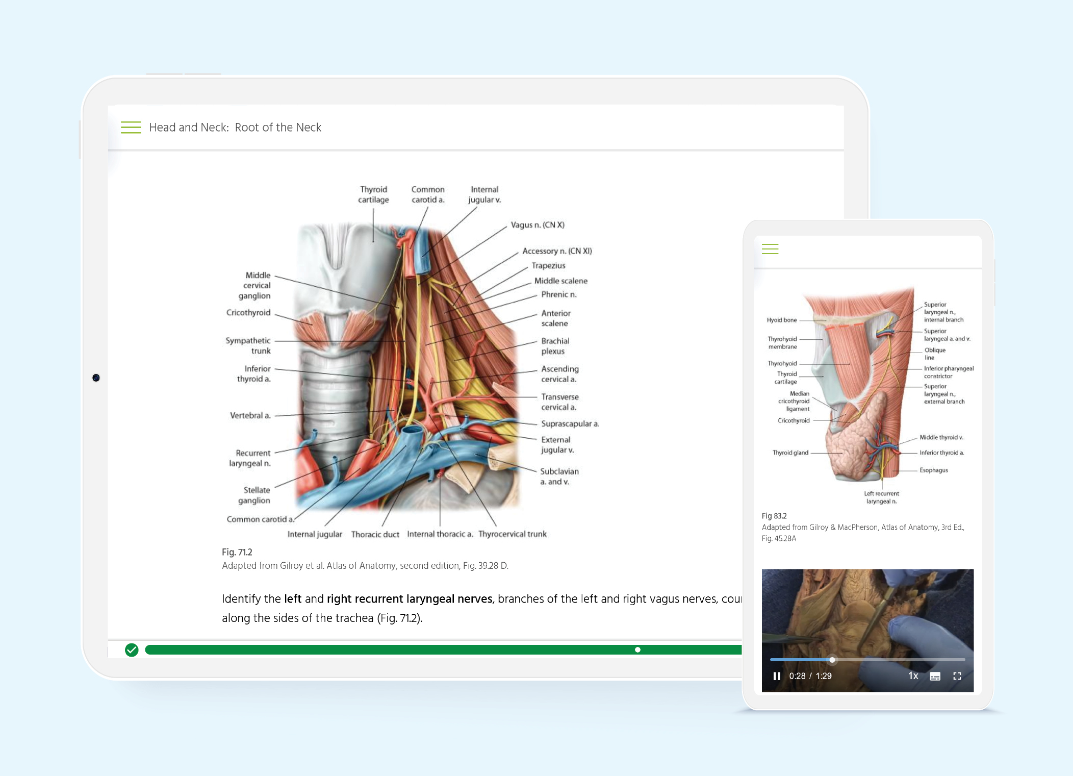 Thieme MedOne Education Screenshot Books
