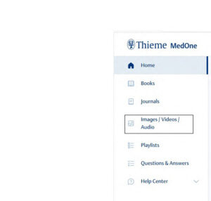 Select Multimedia or Images Images Audio from the left navigation