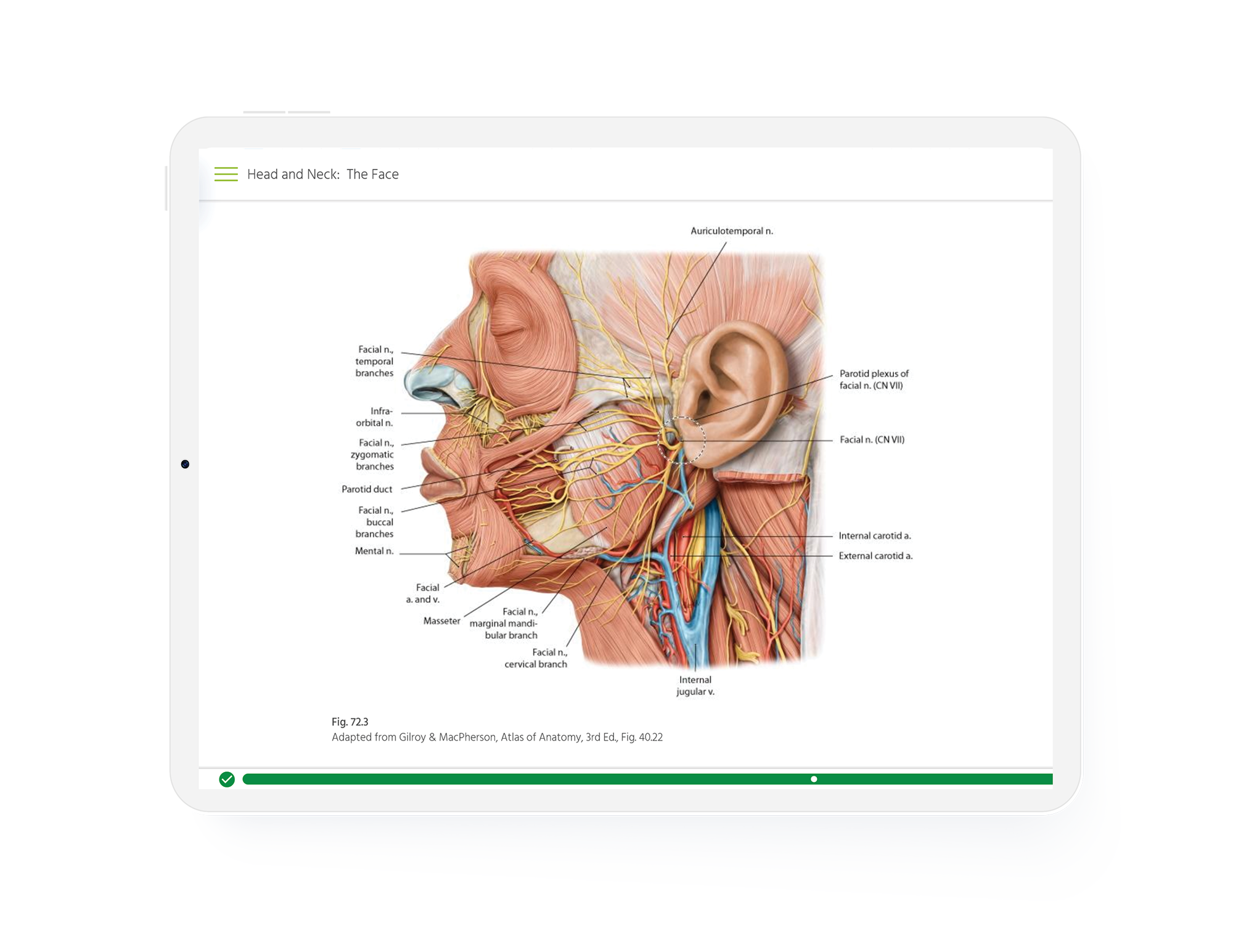 Thieme MedOne Education Screenshot Clinical Capsules