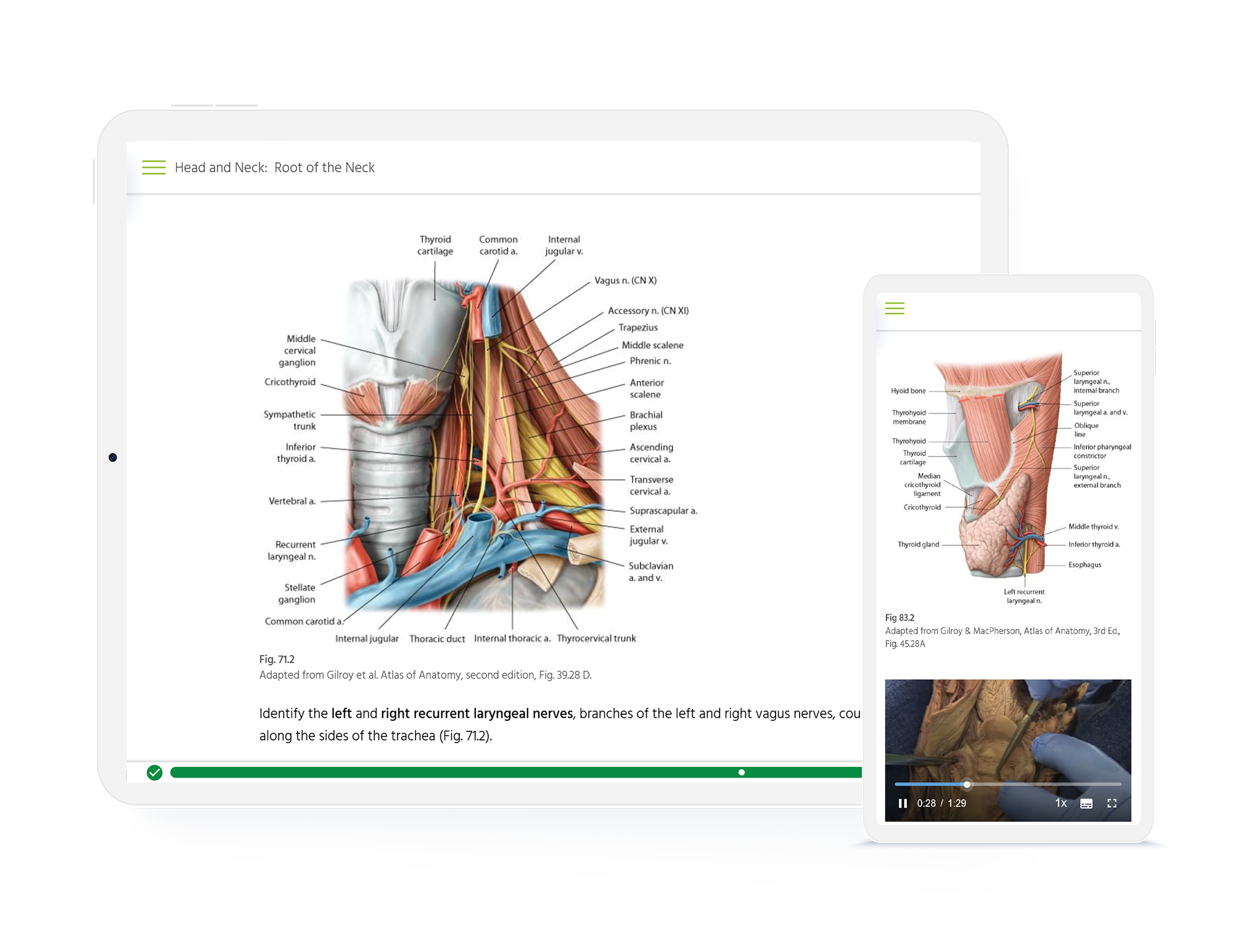 Thieme MedOne Education Screenshot Books
