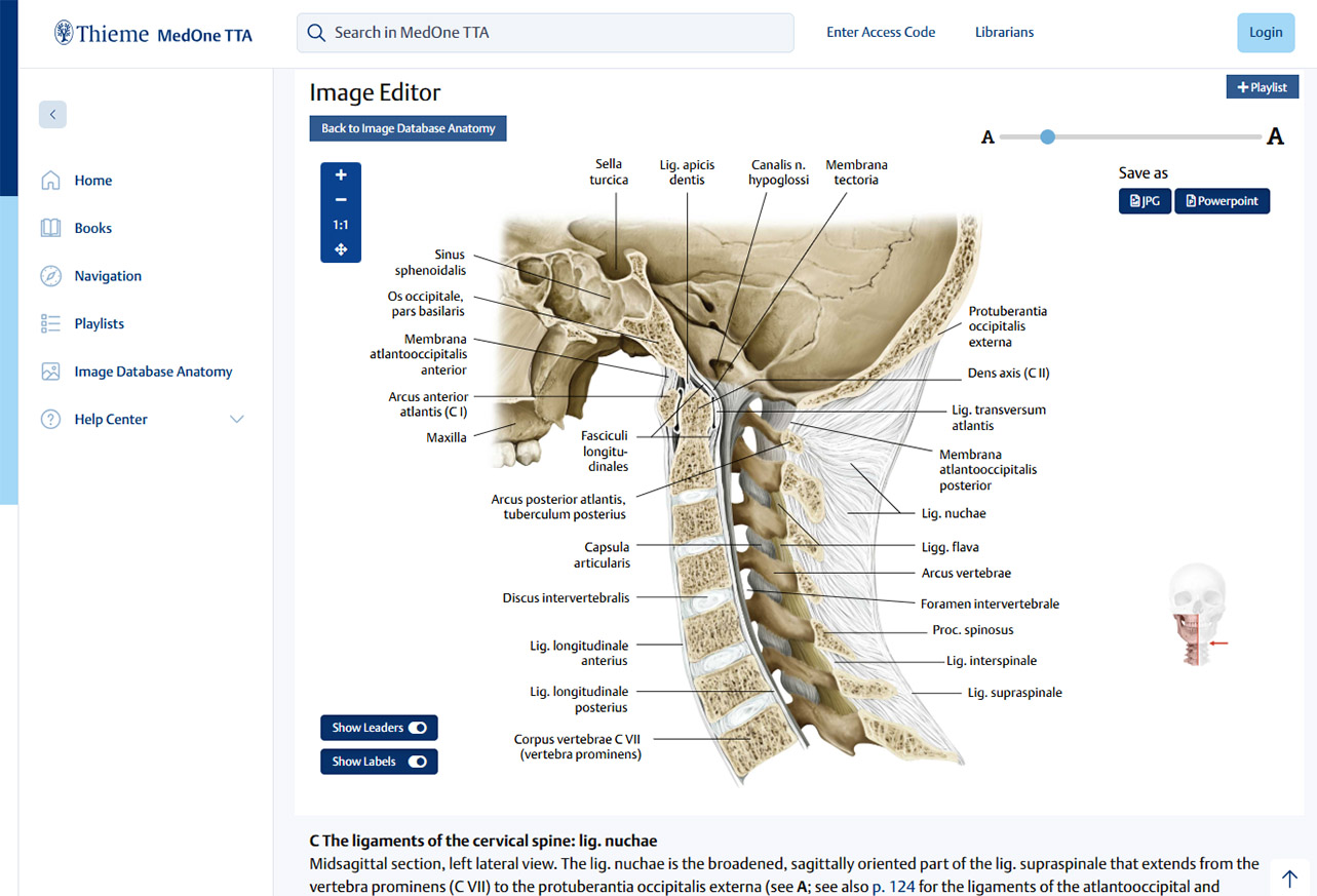 Thieme MedOne Neurosurgery Books Screenshot