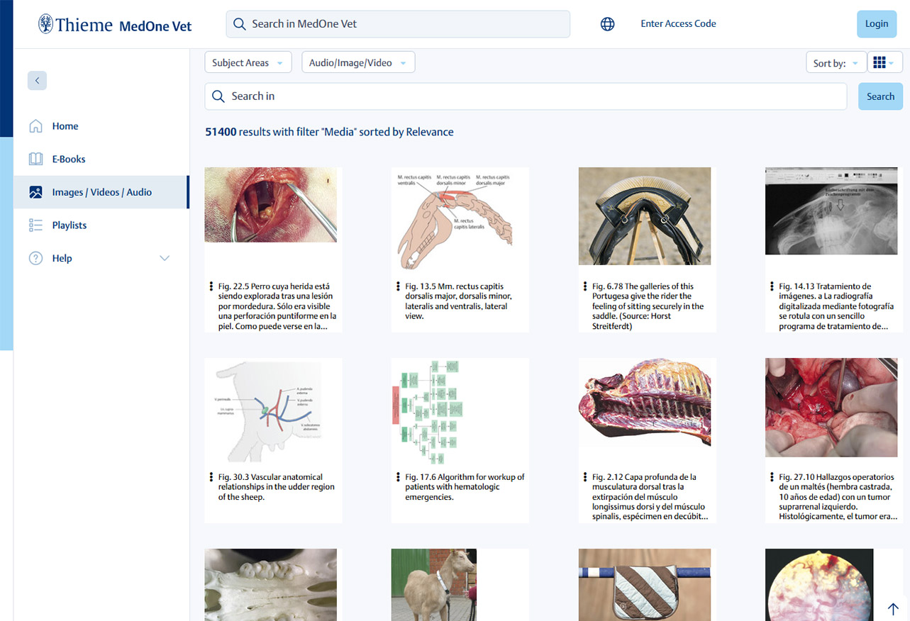 Thieme MedOne Neurosurgery Books Screenshot