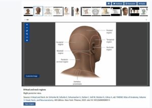 Customize enhanced images on MedOne Education anatomy