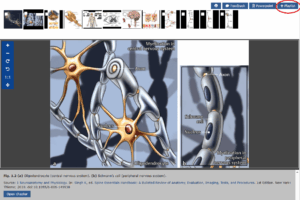 Add images to playlist
